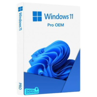 Software Windows 11 Pro 64bit ENG OEM DVD 1PC FQC-10528