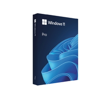 Software Windows 11 Pro Retail 64-bit Eng Intl USB  1PC HAV-00164