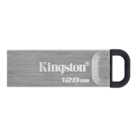 FlashDrive 128GB Kingston DTKN/128GB Sivi USB3.2